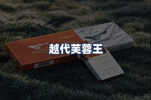 越代芙蓉王